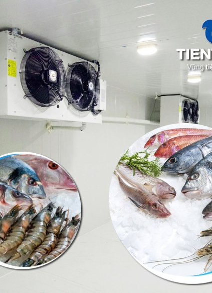 Các điểm cần lưu ý khi Lựa chọn loại thiết bị cho kho lạnh hải sản